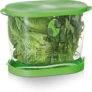 프로그레시브 상추 키퍼 농산물 저장 용기 4.7쿼트 그린 LKS06의 솔루션 준비