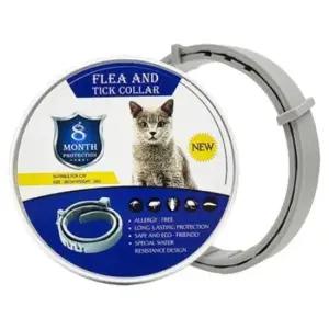 애견산책목걸이 여름 산책 해충방지 목걸이 S 반려견 고양이 목줄 1P