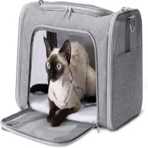 조절 가능한 어깨끈 항공사 승인 접이식 및 휴대용 디자인 메쉬 통풍 평평하게 접어서 보관할 수 있는