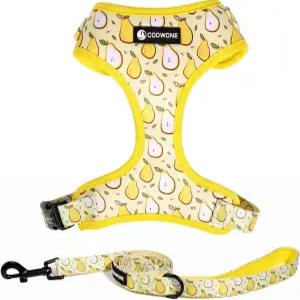소형 중형 반려동물을 위한 보행 훈련용 개 하네스 및 목줄 세트 조절 가능한 당김 금지 강아지
