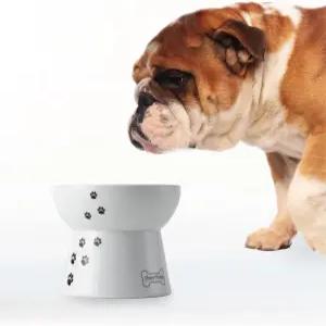 네코이치 반려견과 고양이를 위한 사료 그릇 높이 반려동물 공급기 소형견용 논슬립 식기세척기 및