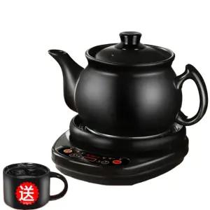 약탕기 한약 중탕기 홍삼 차탕기 세라믹 티포트