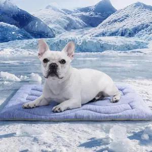 ASENKU 반려견용 쿨링 매트 휴대용 및 내구성이 뛰어난 물리적 열 흡수 미끄럼 방지 통기성 베드 32x20인치