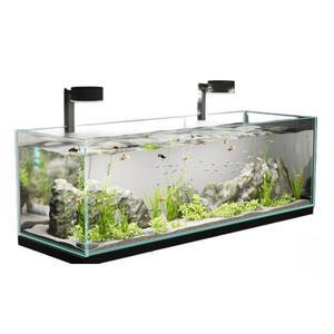 베타어항 금붕어 우파루파 수족관 어항 수초 물고기