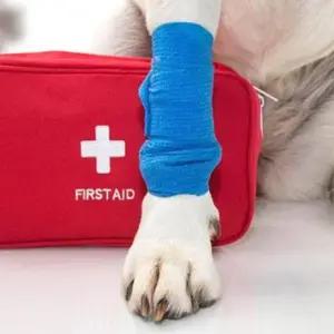 애견낙하 반려동물 응급처치 기능성 자가부착 붕대 RC1079 1P