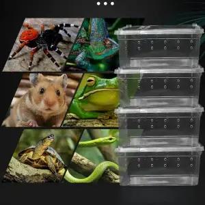 ToB 소동물 사육장 투명 케이지 1개