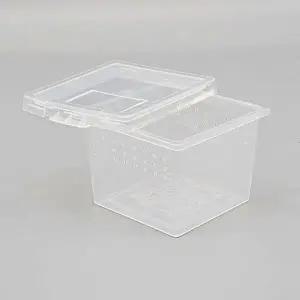 TBZ 파충류 도마뱀 사육장 곤충 거북이 달팽이 밀웜 집 C2