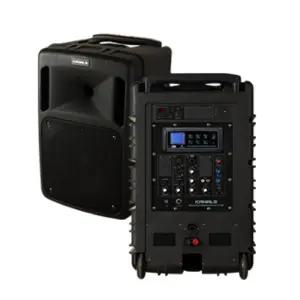 충전식 앰프 스피커 카날스 BK-881N 300W 야외 공연 버스킹 강의 강연 교회 행사 블루투스 무선마이크 세트