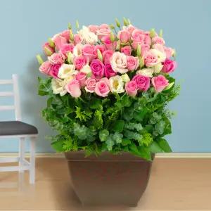 로즈 인 베르사유MTFA029