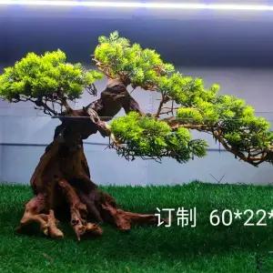 유목레이아웃 뿌리 가지 나무 꾸미기 장식 레이아웃 조경 활착