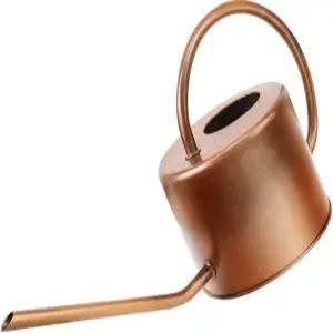 40온스 장식용 구리색 아연 도금 강철 물뿌리개 - 실내 식물 위한 쉬운 붓기 구스넥 브론즈