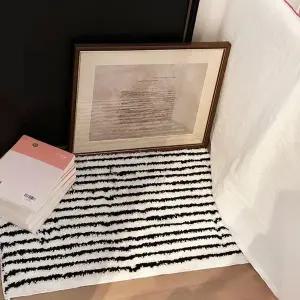 [콩심팥심]어게인제인모던스트라잎 빨아쓰는S 매트 현관매트 발매트 규조토