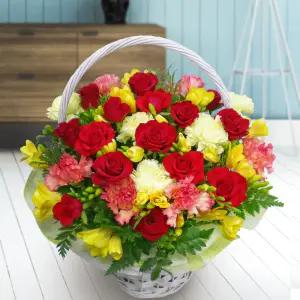 파라다이스MTFA081