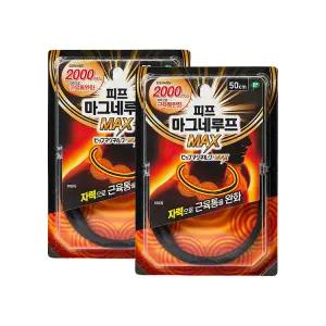 동국제약 마그네루프 MAX 2000 2개