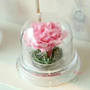 더봄 카네이션핑크 돔 아크릴 카네이션핑크돔nop811