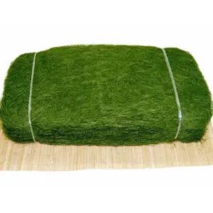 햇감태(100장)/자연산햇감태