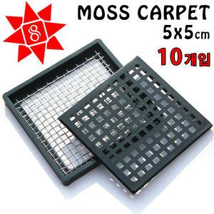 모스카펫 S/L 10개(수초/모스활착판) /수족관 어항 수초 소일 바닥재 장식품 꾸미기 세팅 컴팩트 구피