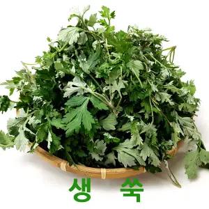 향긋한 생쑥4kg 해풍맞고자란 쑥 봄나물 웰빙푸드