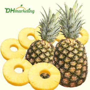 필리핀 골드파인애플 6~7수 12kg