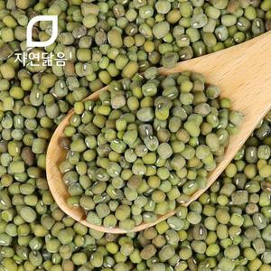 자연닮음 국산 햇 녹두 숙주콩 통녹두 500g