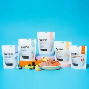 [옵티펫]반려동물 영양제 츄어블/덴탈애/오리얼/관절 장 눈물 피부 면역력 종합 구강