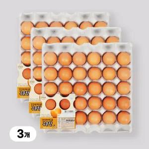 [YJ푸드] 맥반석계란 구운계란 90구 구운란 간식 단백질  HACCP