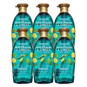 오가니스트 페퍼민트 앤 진저 쿨링 샴푸 500mL X 6개