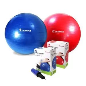 아이워너 고급형 안티버스트 짐볼 55cm 스트레칭 헬스