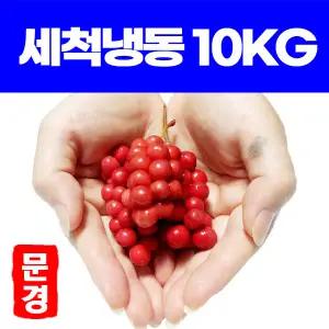 냉동 오미자 2025년 문경오미자 5kg 10KG 당절임 청 생과 산지 발송