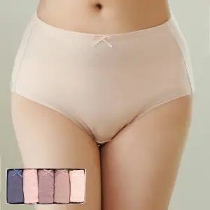 JHWPZP11 제임스딘 면스판 빅사이즈 여성 맥시 팬티 5매 세트