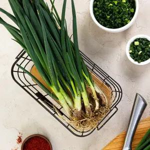 대붕농장 시골 쪽파 흙쪽파 당일수확 2kg 산지출발