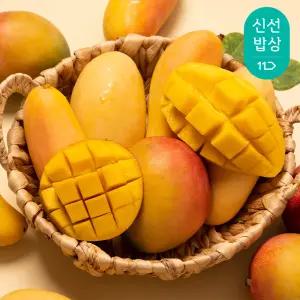 [품질보장]과일꾼 항공수입 고당도 태국 골드망고[원산지:태국]