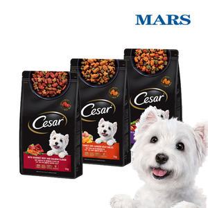 시저 강아지 건사료 3종 2kg