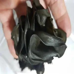 동해안 자연 미역귀 200g(해풍건조) 미역귀200g*1봉