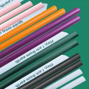 생분해 옥수수 빨대 벌크 100개 21cm PLA 친환경 그린 핑크 퍼플 오렌지 화이트 블랙 빨대