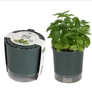 미미 그로우키트-허브바질/화분키우기,씨앗심기,재배세트