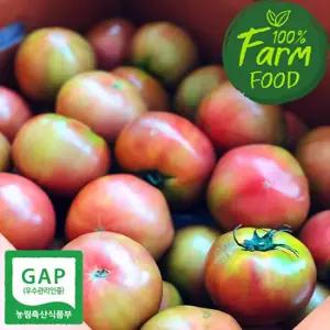 [잇츠팜] GAP인증 경주안강토마토 5kg(중과/4~5번)