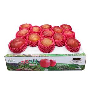 [김가네과일촌] 선물용 제수용 명절 선물세트 경북 영주 햇 꿀 사과 고당도 사과 부사 5kg