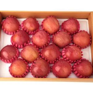 아삭달콤한 햇 수확 청송 부사 사과 5kg(대과) 선물세트 14-16과