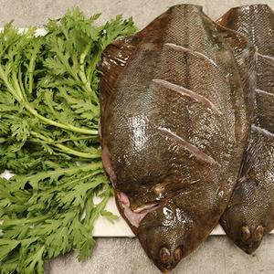 서천어부의 도다리 쑥 세트 800g 내외