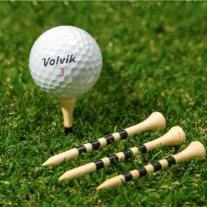 [골프 델루나] 눈금 줄무늬 원목 나무 골프티 꽂이 (100개입)