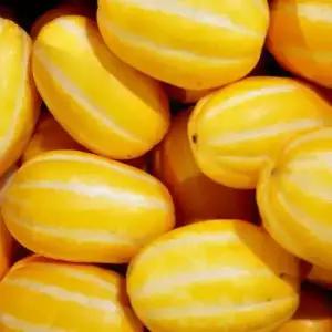 성주 꿀 참외 가정용 2kg 중소과 (5~10과)