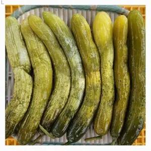 강원도 홍천 삼둔농원 오대산 오이지 절임 1kg절임오이 오이절임 오이지절