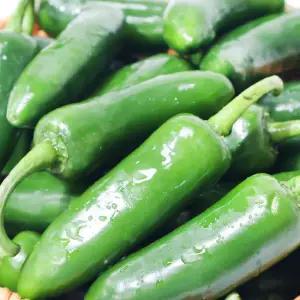 [엠픽] 국내산 할라피뇨 최상품 고추 1kg