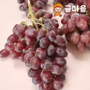 귤마을 씨없는 고당도 크림슨 적포도 2kg