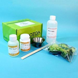 브로콜리DNA추출세트 EDU-22304 / 체험학습키트 유전발생실험제품