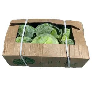 [15kg 6통] 수입양배추 특대사이즈 신선 대용량 업소용 중국산 식자재