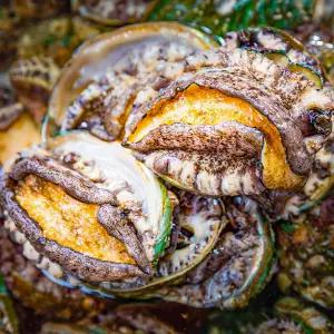 완도 노화도 활 전복 1kg 20-25미