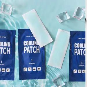 아이스 냉각 쿨팩 냉패치 미니 붙이는 쿨링시트 휴대용 냉감 젤 얼굴 이마 찜질팩