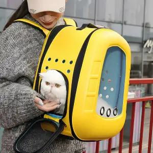 퍼피허그 하드쉘 투명 우주선 강아지 백팩 산책가방 이동 가방 고양이 애견 기내용 컨넬 배낭 외출 여행용